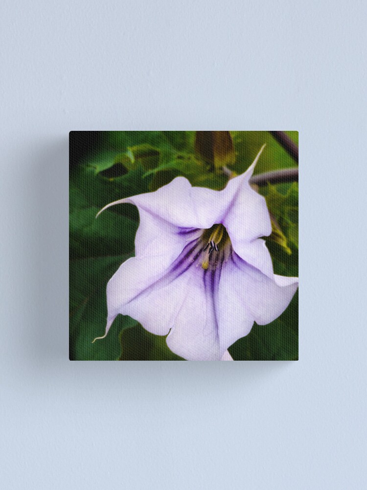 Alternate view of Deadly Canvas Print
