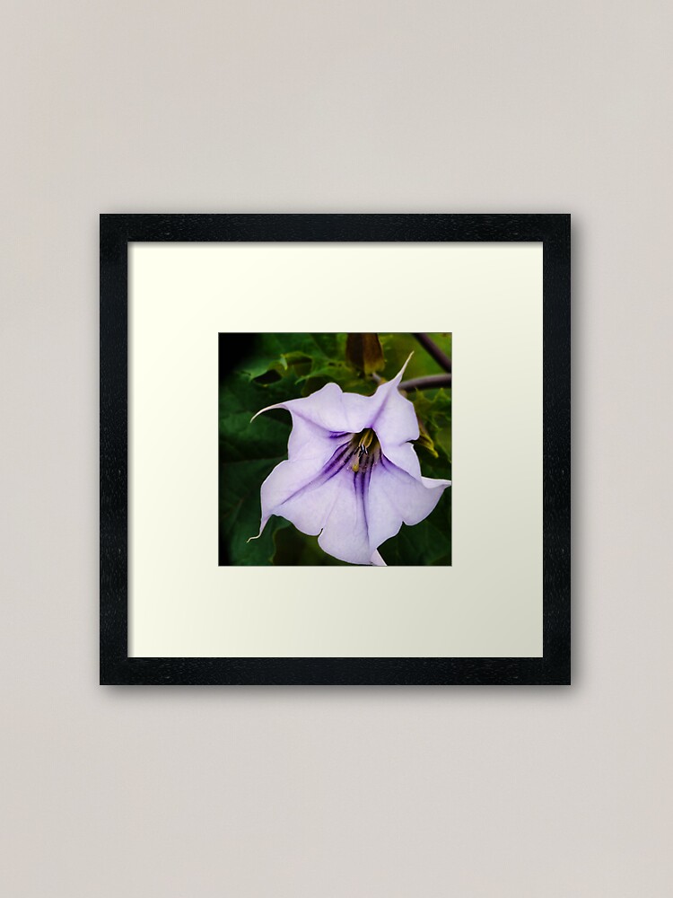 Alternate view of Deadly Framed Art Print
