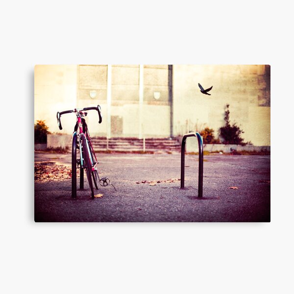 Abandoned bike Canvas Print