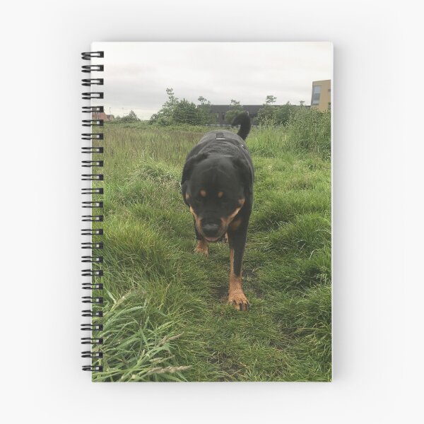 Item preview, Lyla the Rottweiler designed and sold by MrRee1.