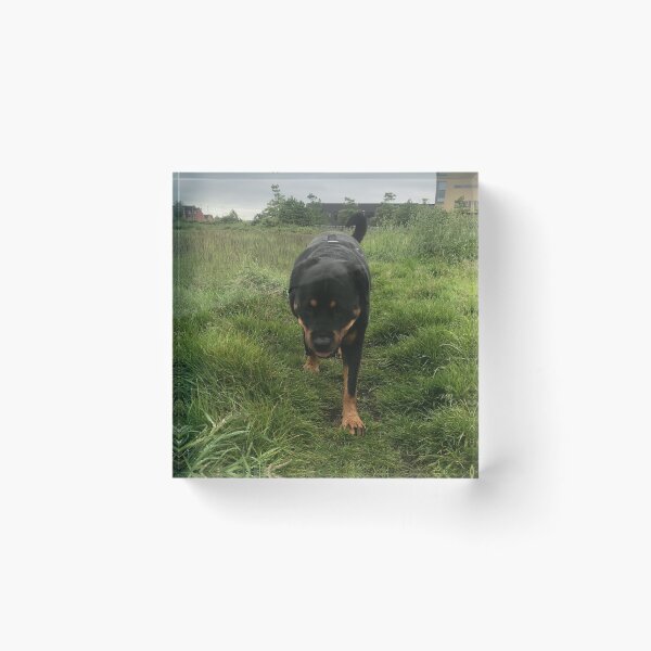 Item preview, Lyla the Rottweiler designed and sold by MrRee1.