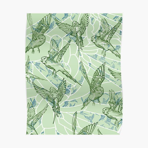 Budgie Pattern Poster