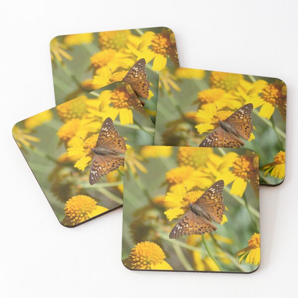 Item preview, Hackberry Emperor and Huisache Daisy Wildflowers designed and sold by Debra Martz.