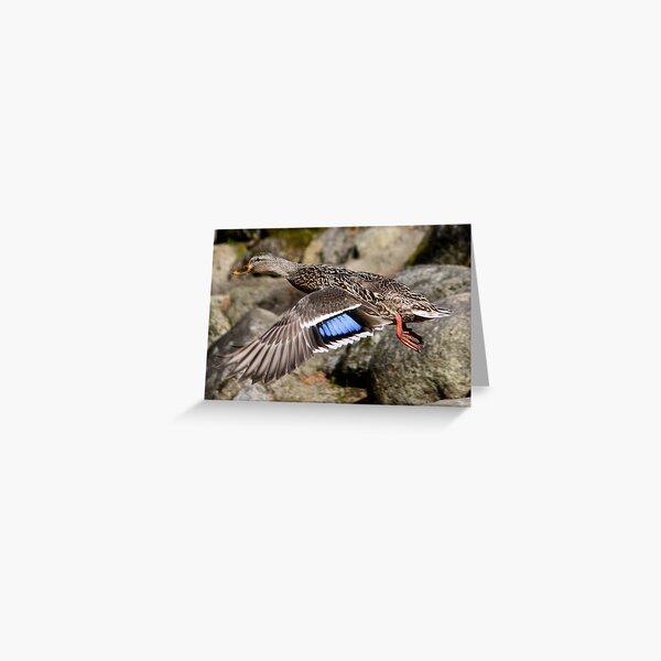 Returning Home Greeting Card