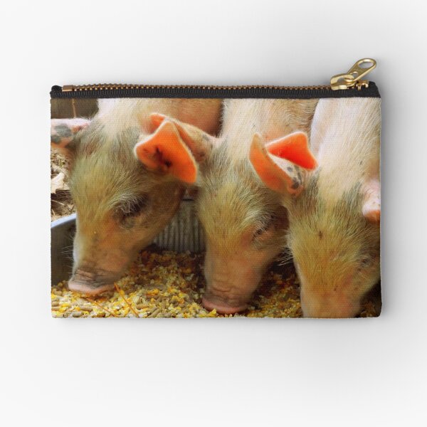 Three Little Pigs Zipper Pouch
