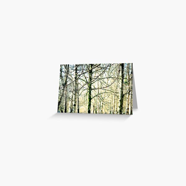 Trees at the Park Greeting Card