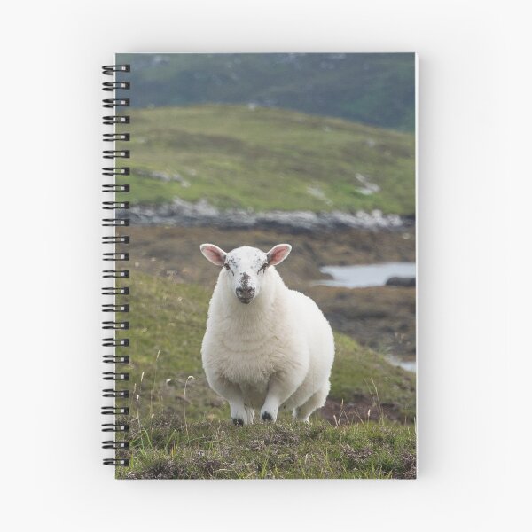 Item preview, The prettiest sheep designed and sold by vfphoto.