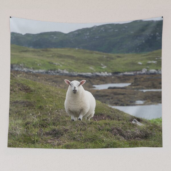 Item preview, The prettiest sheep designed and sold by vfphoto.