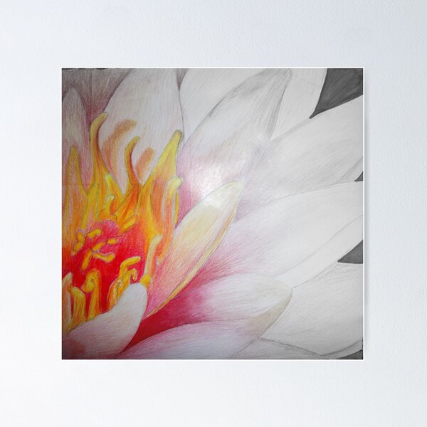 Item preview, Colour in Bloom designed and sold by Salvarina.