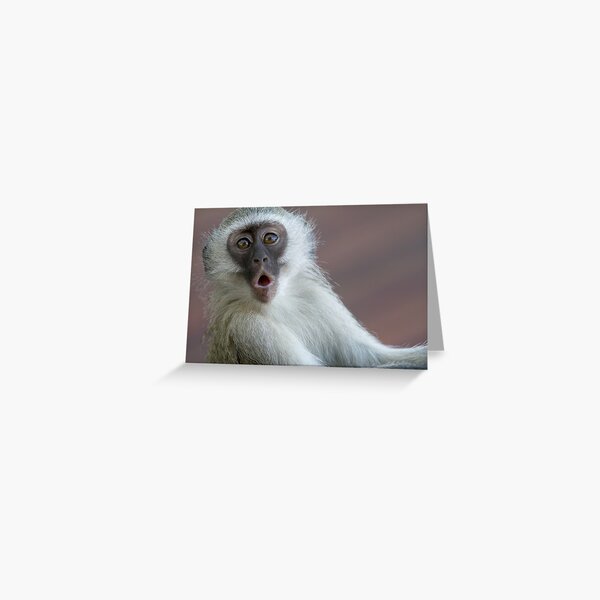 Oh No! Greeting Card