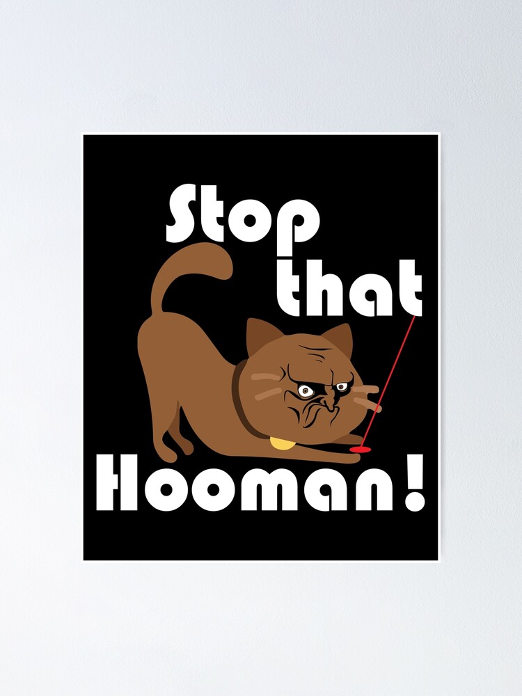 Stop That Hooman Cats Design Poster By Maxundvanessa Redbubble 2986