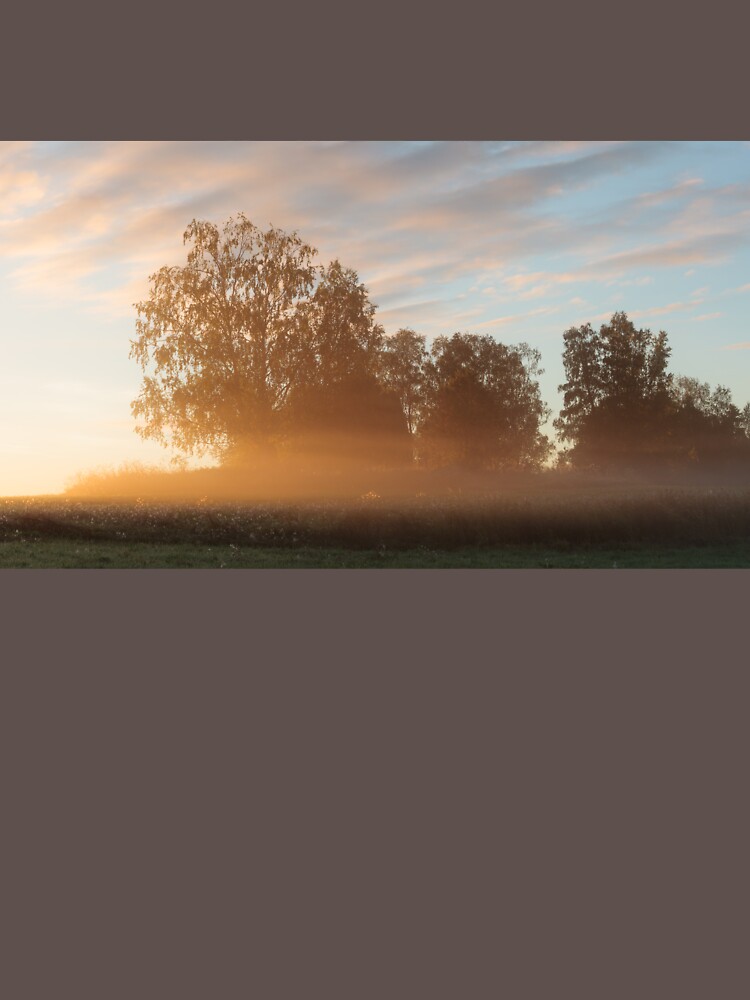 Misty meadow landscape sunrise by Juhku