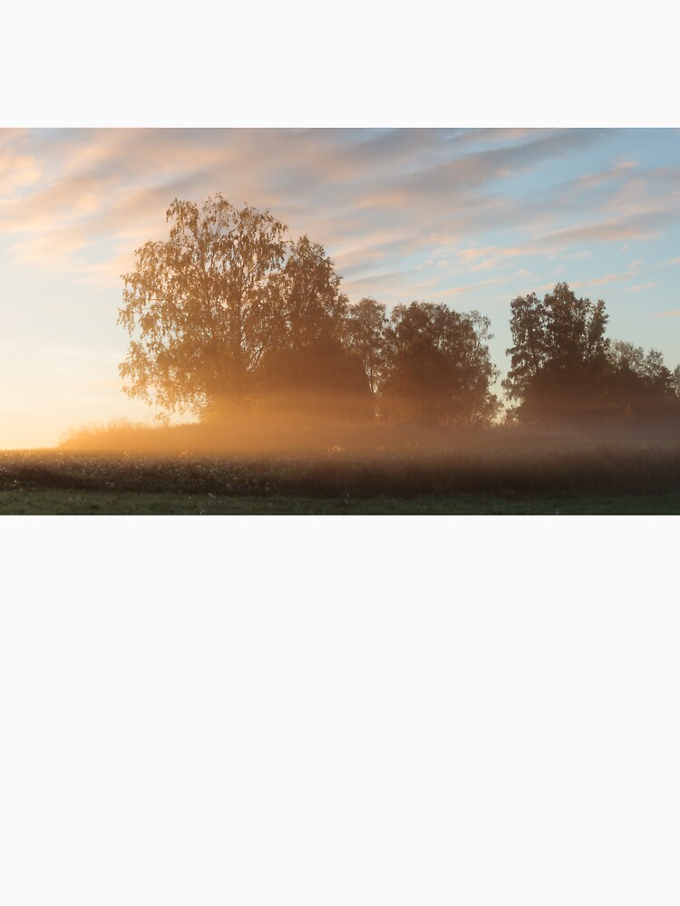 Misty meadow landscape sunrise by Juhku