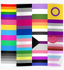 LGBT Pride Flags Collage Poster