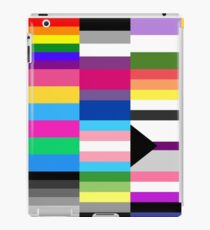 LGBT Pride Flags Collage iPad Case/Skin
