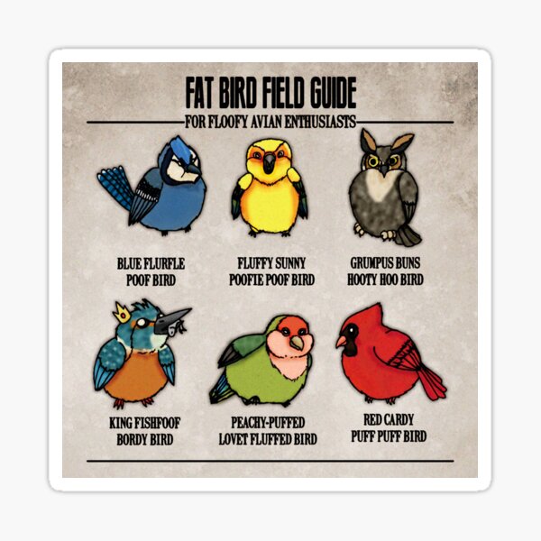 Fatbird Sticker Sheet (4x6): Titmouse, Nuthatch, Robin, Goldfinch, Blu –  FATBIRD