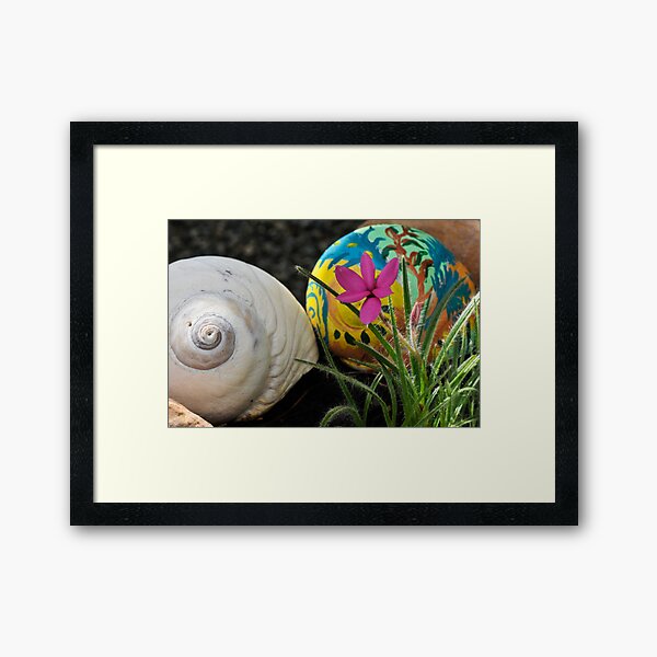 Moon Shells Framed Art Print