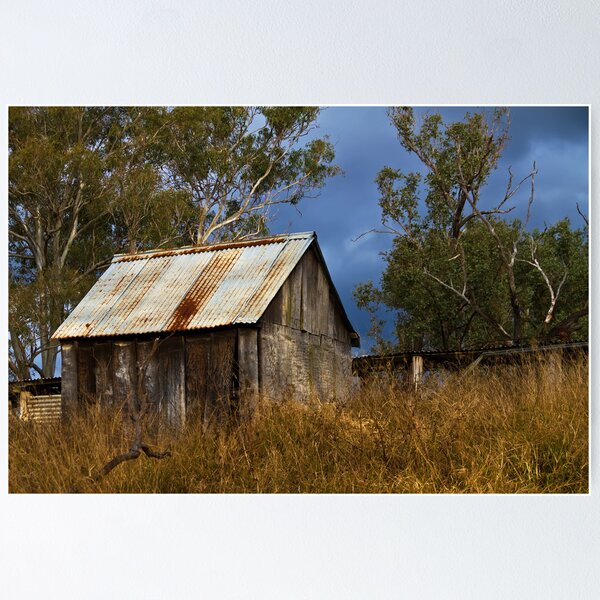 bush shed Poster