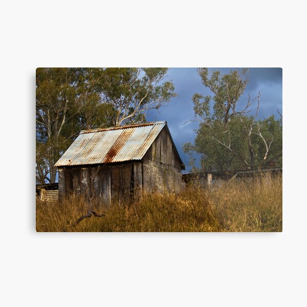bush shed Metal Print