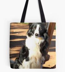IS THIS OK? "KLIPPIES" POSING ! Tote Bag