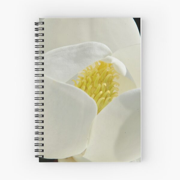 Artikelvorschau, Magnolien-Flora-Schönheit entworfen und verkauft von Tdcc2000.