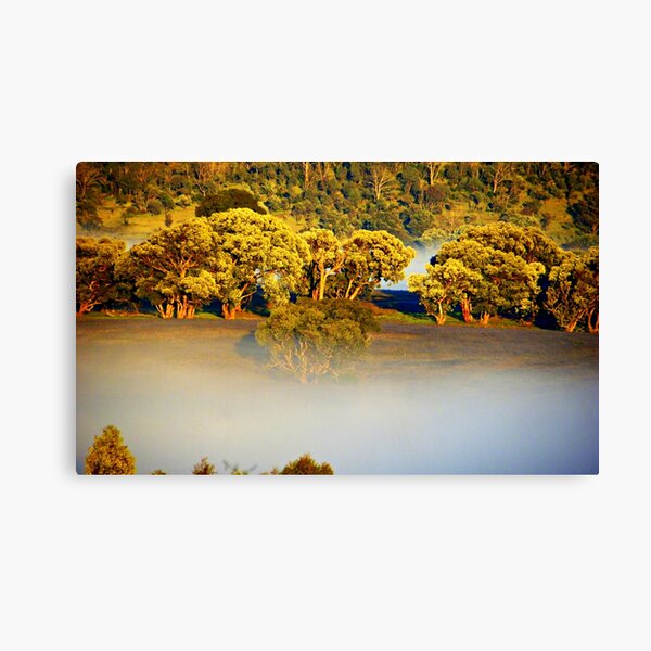 In The Mist Canvas Print