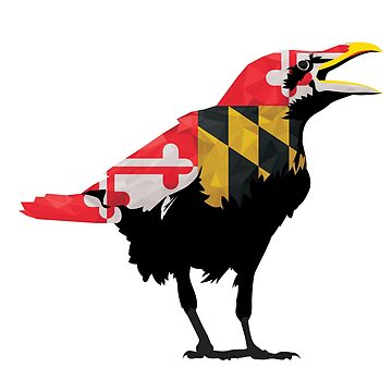 Artwork thumbnail, Maryland Raven Bird by polliadesign