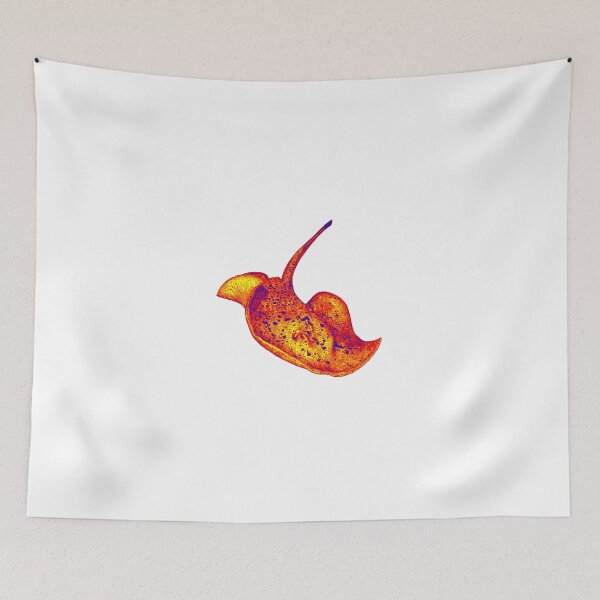 Item preview, Swimmers Ray designed and sold by wahine24.