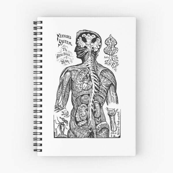 Item preview, Vintage Medical Graphic Mans Nervous System designed and sold by Artification.