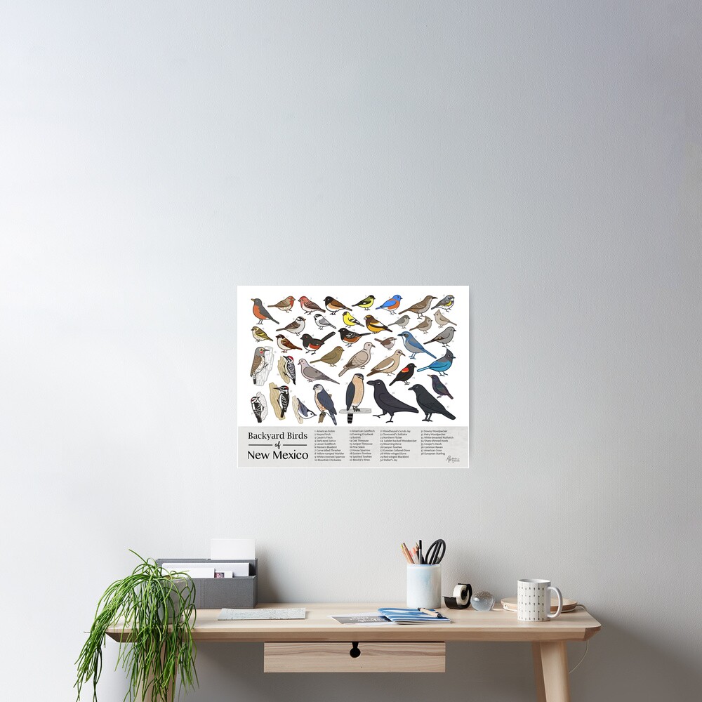 New Mexico - Backyard Birds of New Mexico Field Guide Print - Bird Art Print - BirdsandFriends.co Poster