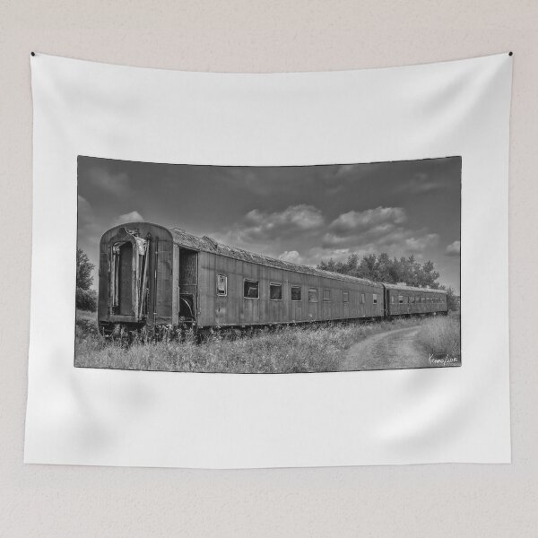 Item preview, Abandoned Railroad Car in Rural New Brunswick designed and sold by kenmo.