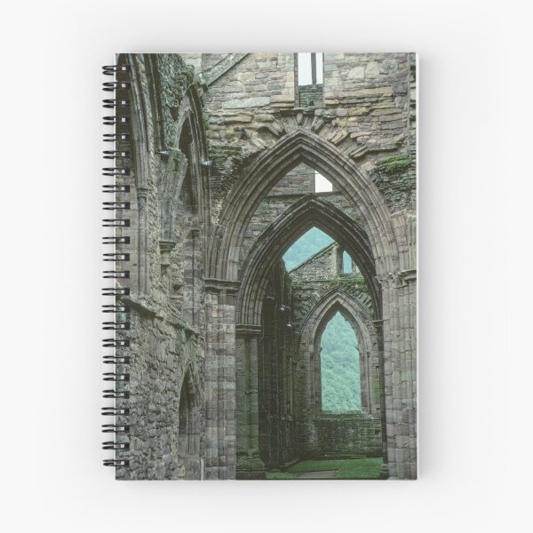 Item preview, Side aisle Tintern Abbey Wales 19790604 0026 designed and sold by Fred Mitchell.