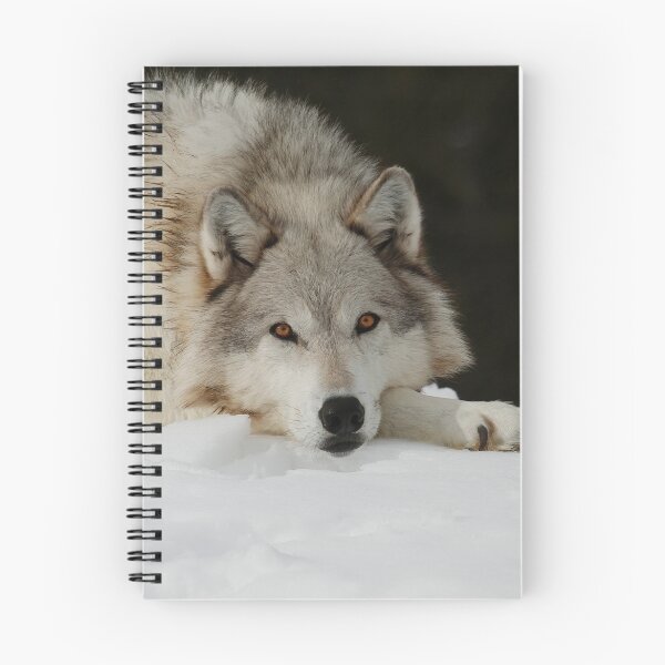 Item preview, Winters Grey designed and sold by SteveMcKinzie.