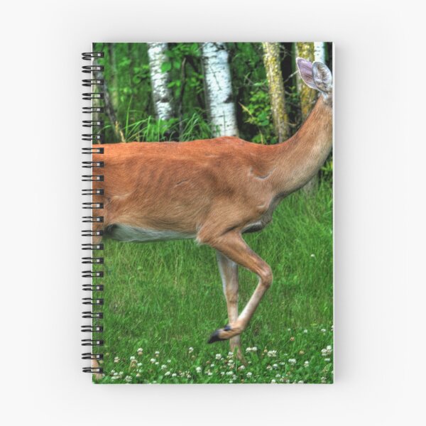 Item preview, Young Doe designed and sold by Larry Trupp.