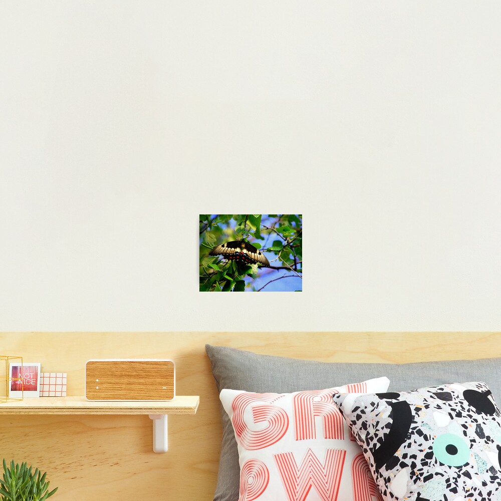 Item preview, Photographic Print designed and sold by Rinaldo44.