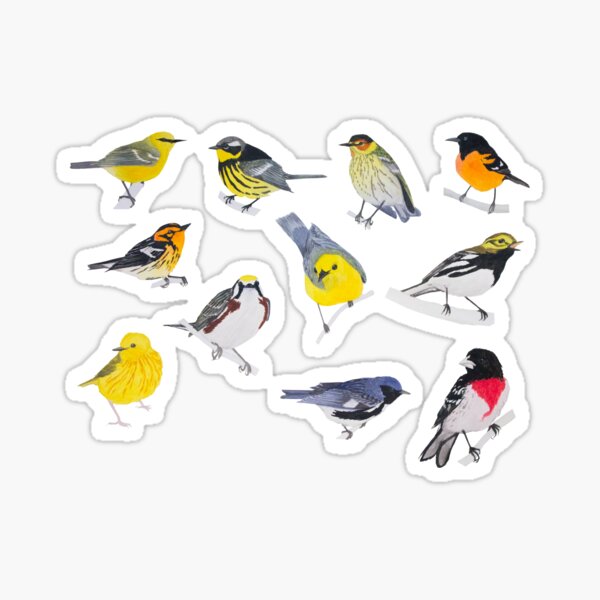 Springtime Birds Sticker