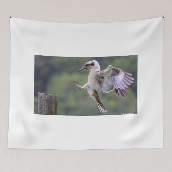 Item preview, Kookaburra  designed and sold by Trish Threlfall.