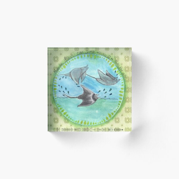 Mobula Rays Acrylic Block
