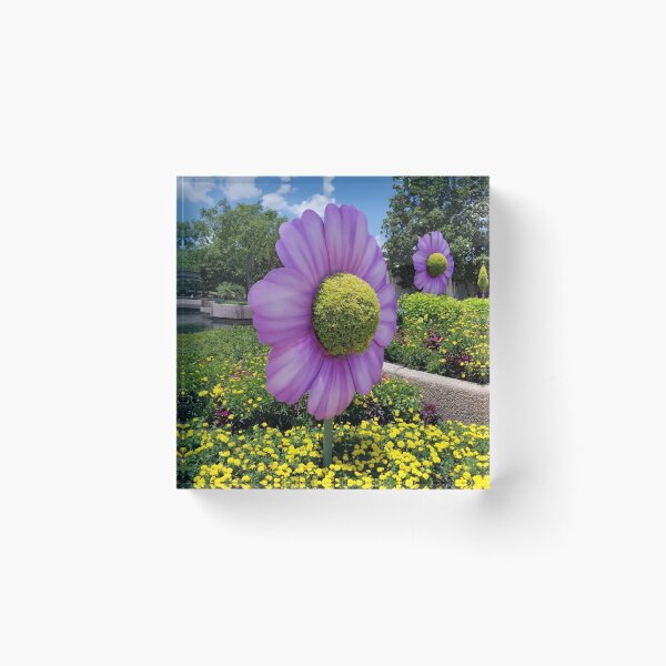 Item preview, Crazy Flower at Epcot designed and sold by Norma Jean’s Art.