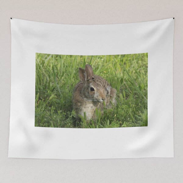 Item preview, Bunny Rabbit shot closeup in the green grass designed and sold by ROBERTDBROZEK.