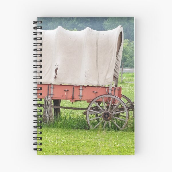 Item preview, Old carridge designed and sold by Manon Boily.