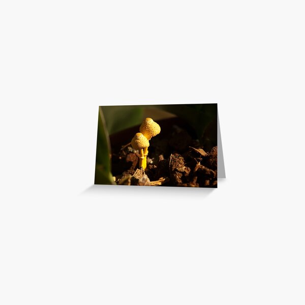 Two little aliens... Greeting Card