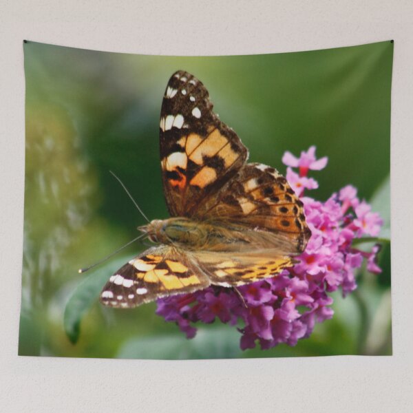Item preview, Painted Lady designed and sold by AnnDixon.
