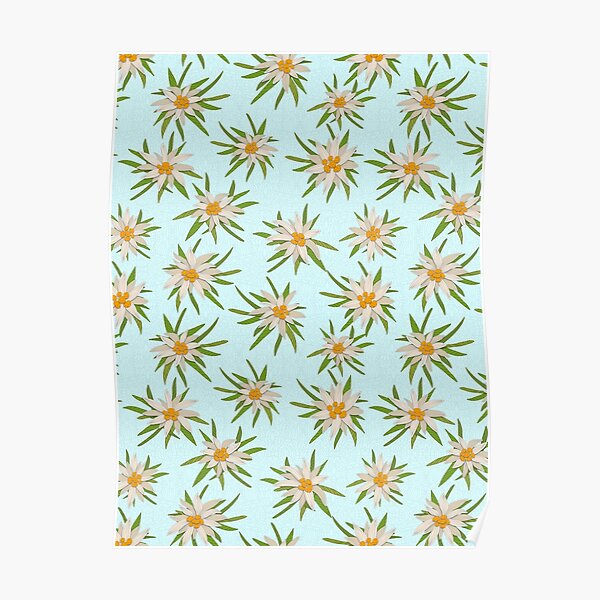 Edelweiss Pattern Poster