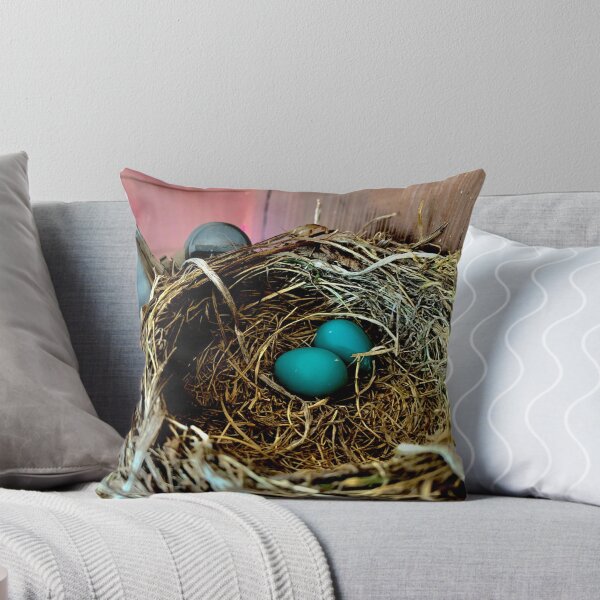 Item preview, Robin eggs designed and sold by Megan Petroski.