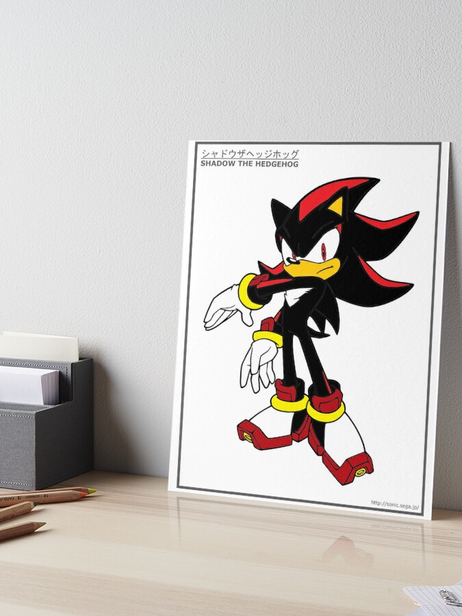 SONIC & SHADOW, an art canvas by DAZE - INPRNT