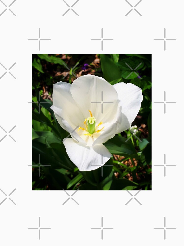 White Tulip by debfaraday