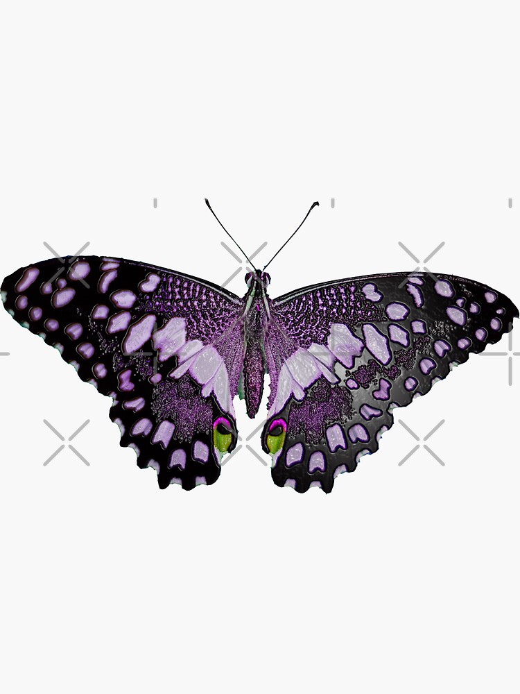 "Purple Bubble Wrap Butterfly Effect" Sticker for Sale by TigsArts