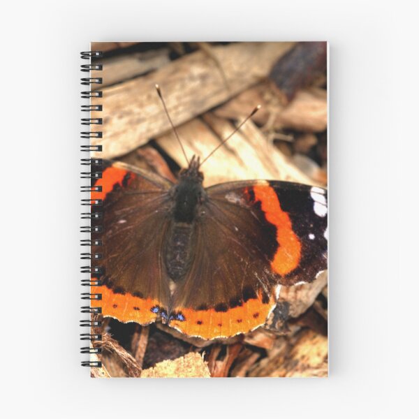 Item preview, 'Admirable'  Beauty designed and sold by Larry Trupp.