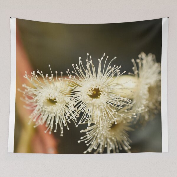 Item preview, Bright, White Eucalyptus Tree Flowers designed and sold by imaginethis.